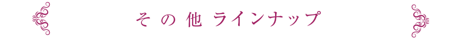 その他ラインナップ